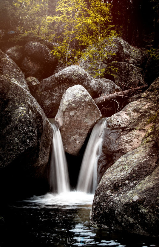 Grizzly Bear Falls