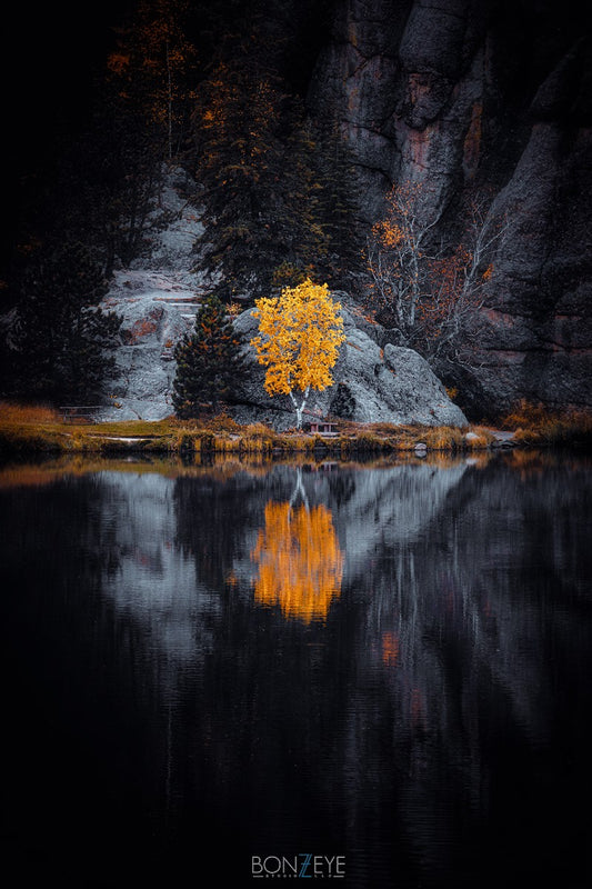 Lady of the Lake