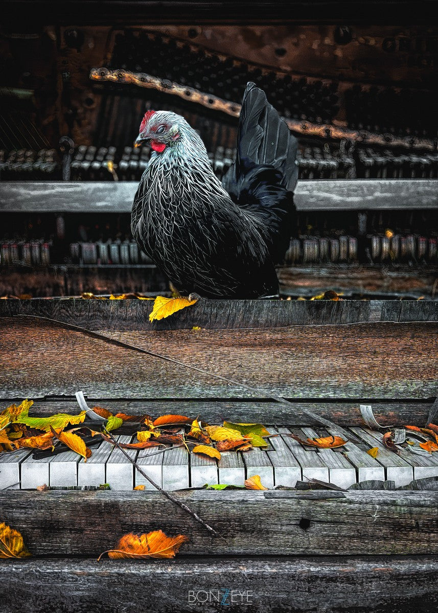 Tiny Chicken and the Yellow Leaf